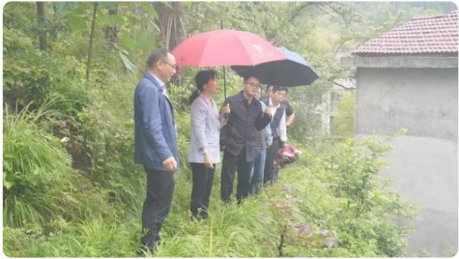 王海霞强调|抓细抓实防汛备汛工作,确保人民群众生命财产安全